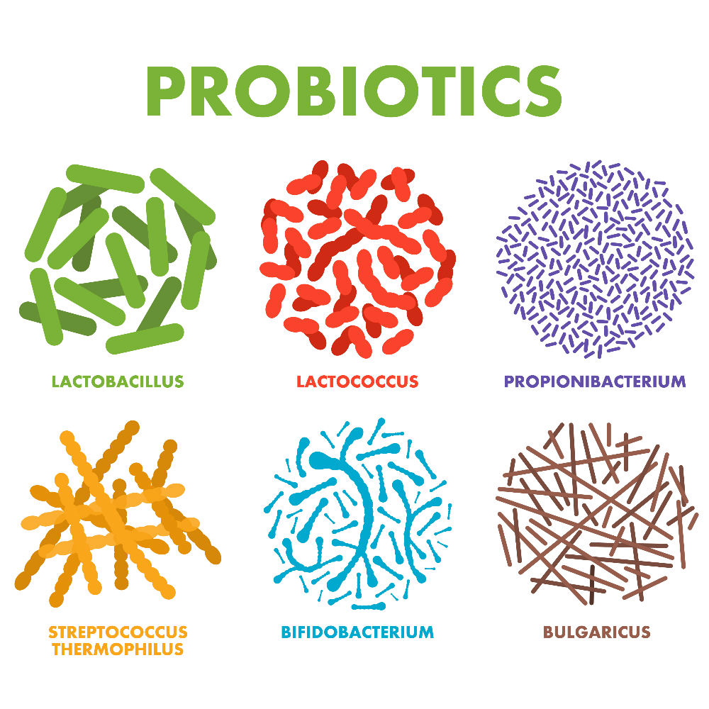 5 TÁC DỤNG PHỤ CÓ THỂ CÓ CỦA PROBIOTIC