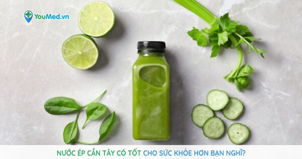 6 lý do sức khỏe bạn cần uống nước ép dưa chua